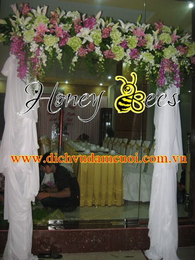 cong hoa tuoi 23